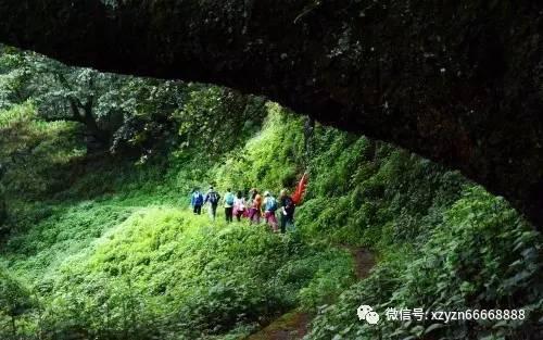荒野坦克大战